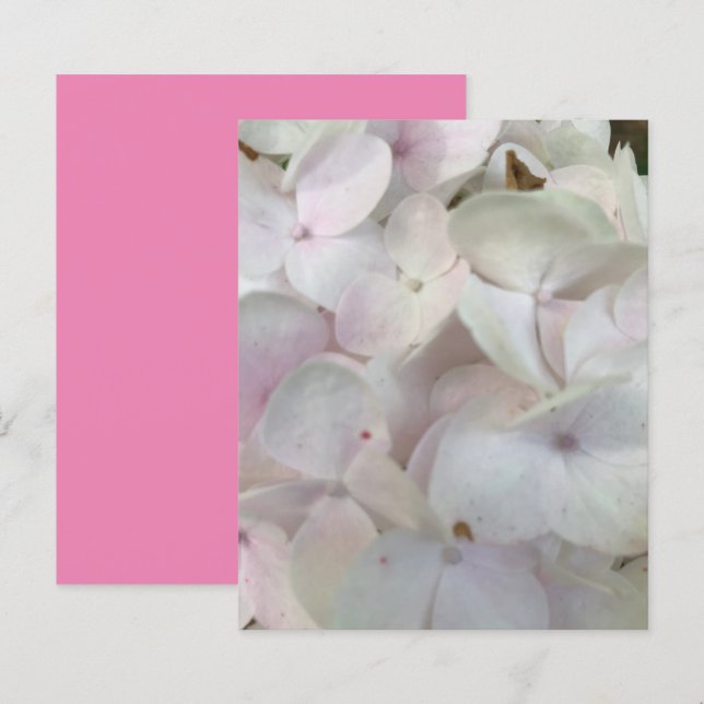 Weißrosa Hydrangea Blüten Scrapbook Paper (Vorne/Hinten)