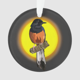 Weißrumped Shama Bird Ornament