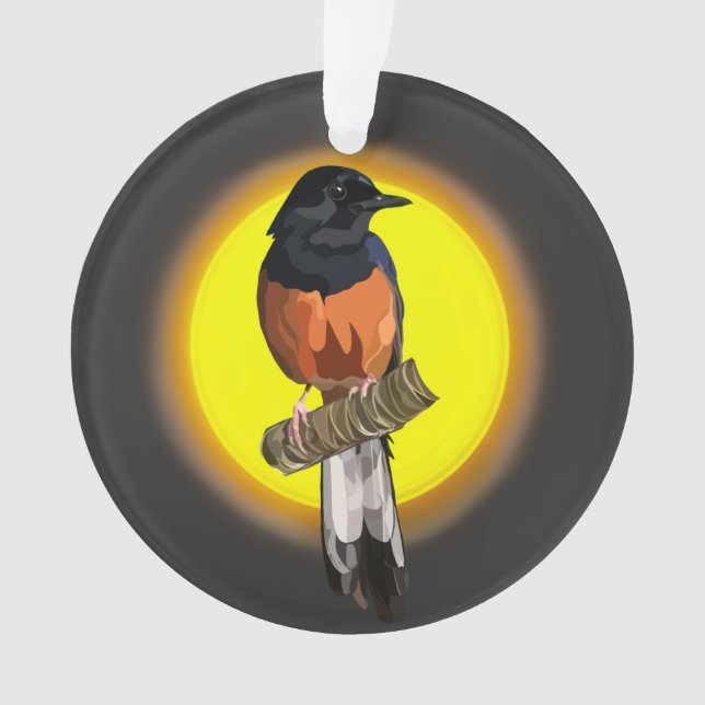 Weißrumped Shama Bird Ornament (Vorderseite)