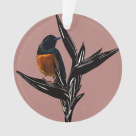 Weißrumped Shama Vogel Akrylus Ornament