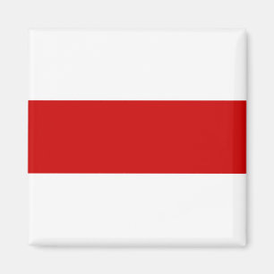 Weißrussland-Flagge (rot und weiß) Magnet