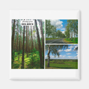 Weißrussland Grüße Naturwaldlandschaft Magnet