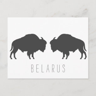 Weißrusslands Bison З б р у е л Б а р у с ь je nac Postkarte
