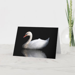 Weißschwan auf schwarz feiertagskarte