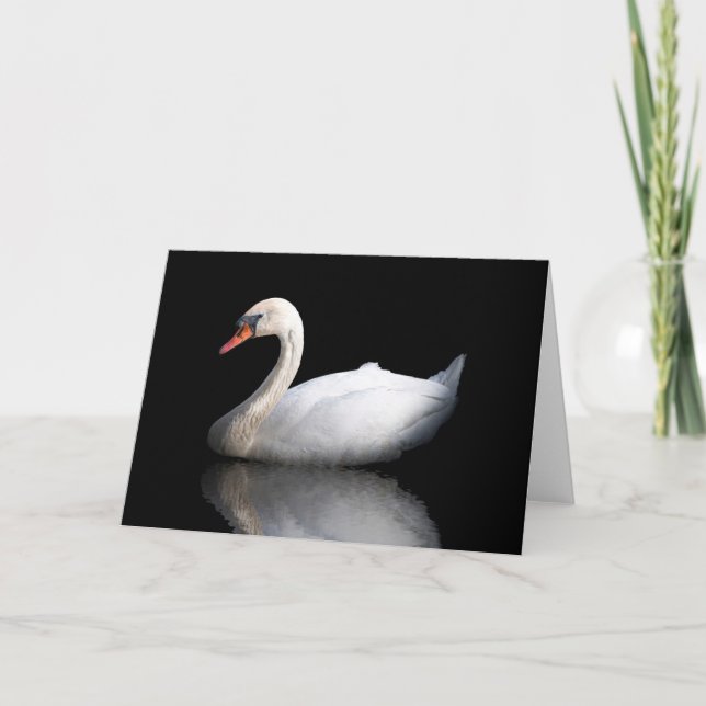 Weißschwan auf schwarz feiertagskarte (Vorderseite)