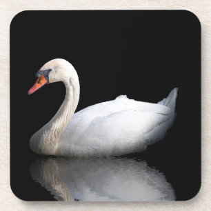 Weißschwan auf schwarz getränkeuntersetzer