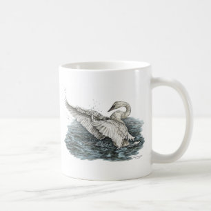 Weißschwan auf Wasser Tasse