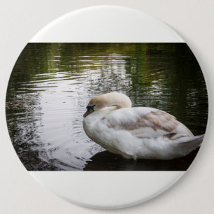 Weißschwan Button