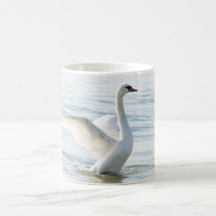 Weißschwan Cygnus Kaffeetasse