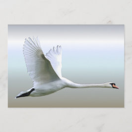 Weißschwan im vollen Flug