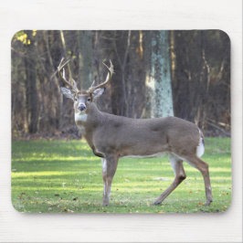 Weißschwanz-Hirschpolster Mousepad