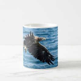 Weißschwanzadler Tasse