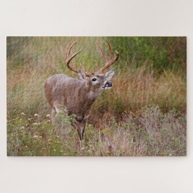 Weißschwanzherbst in Texas Puzzle (Horizontal)