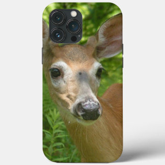 Weißschwanzhirsche Case-Mate iPhone Hülle