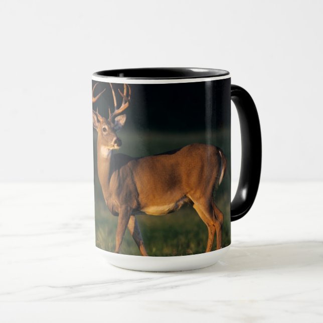 Weißschwanzhirsche | Choke Canyon Staat Park, TX Tasse (VorderseiteRechts)
