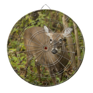 Weißschwanzhirsche Dartscheibe