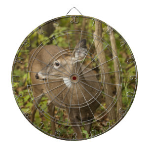 Weißschwanzhirsche Dartscheibe