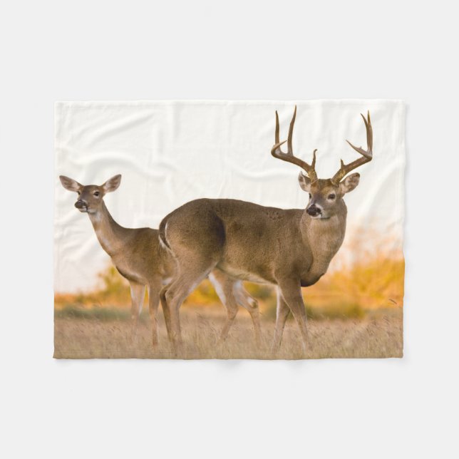 Weißschwanzhirsche | Herbst in Texas Fleecedecke (Vorderseite (Horizontal))