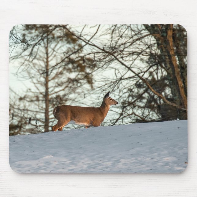 Weißschwanzhirsche Mousepad (Vorne)