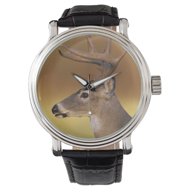 Weißschwanzhirsche, Odocoileus virginianus, Armbanduhr (Vorderseite)