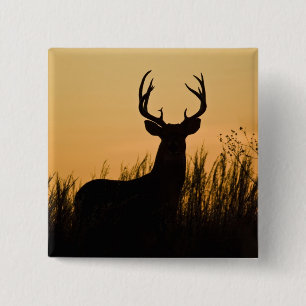 Weißschwanzhirsche (Odocoileus virginianus) Button