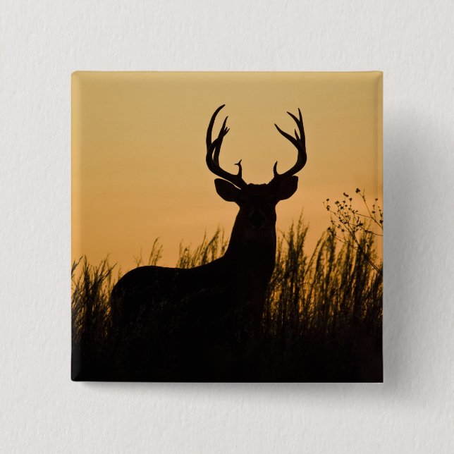 Weißschwanzhirsche (Odocoileus virginianus) Button (Vorderseite)