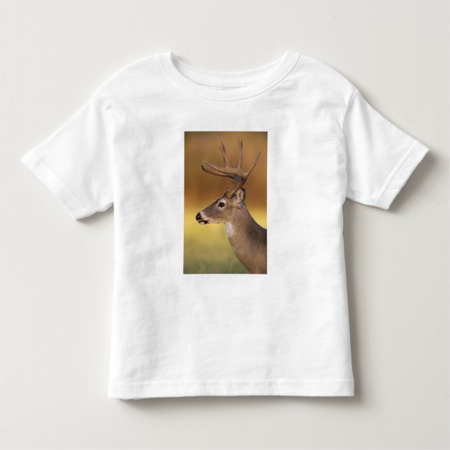 Weißschwanzhirsche, Odocoileus virginianus, Kleinkind T-shirt (Vorderseite)