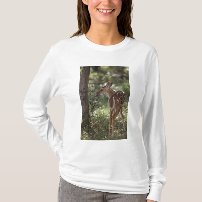 Weißschwanzhirsche, Odocoileus virginianus T-Shirt (Vorderseite)