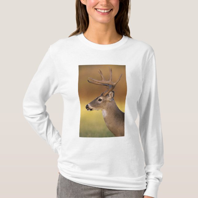 Weißschwanzhirsche, Odocoileus virginianus, T-Shirt (Vorderseite)