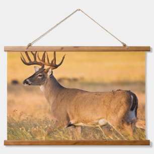 Weißschwanzhirsche   South TX Wandteppich Mit Holzrahmen