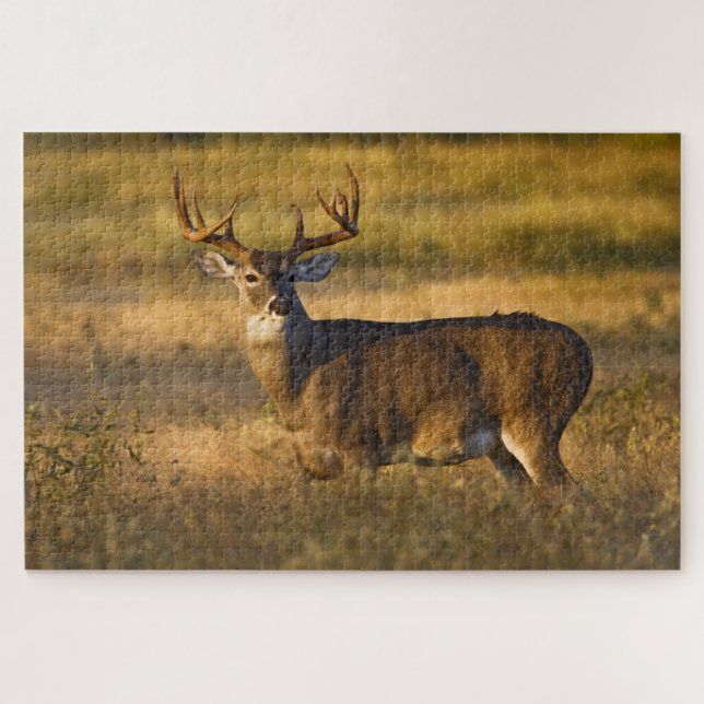 Weißschwanzhirsche | Südtexas Puzzle (Horizontal)