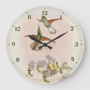 Weißschwanzkolibri (Eupherusa poliocerca) Große Wanduhr