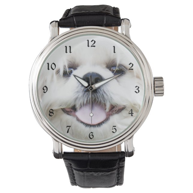Weißshih tzu-Gesicht Armbanduhr (Vorderseite)