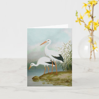 Weißstorch, Vogelbilder Karte