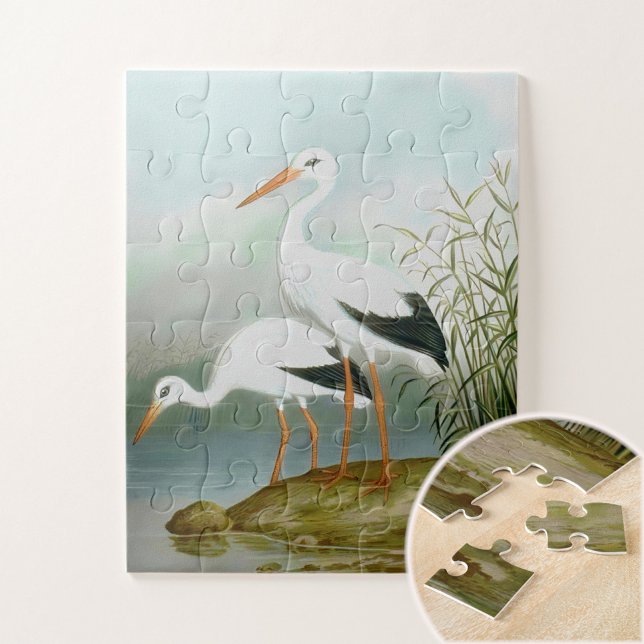 Weißstorch, Vogelbilder Puzzle (Von Creator hochgeladen)