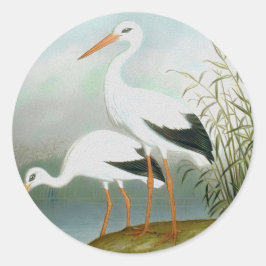 Weißstorch, Vogelbilder Runder Aufkleber