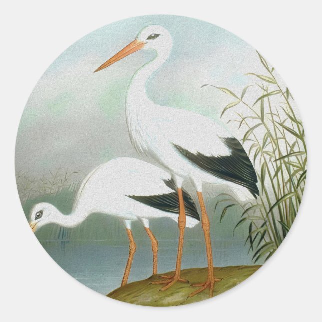 Weißstorch, Vogelbilder Runder Aufkleber (Vorderseite)