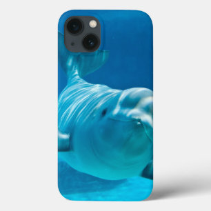 Weißwal-Wal iPhone 13 Hülle