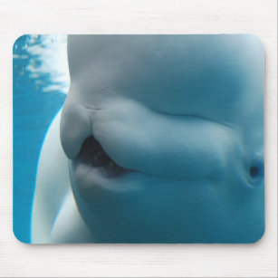 Weißwal-Wal-Mausunterlage Mousepad