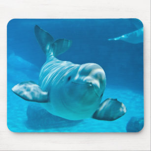Weißwal-Wal Mousepad