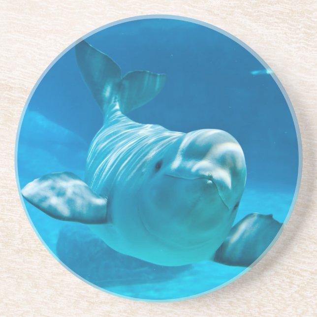 Weißwal-Wal Sandstein Untersetzer (Vorne)