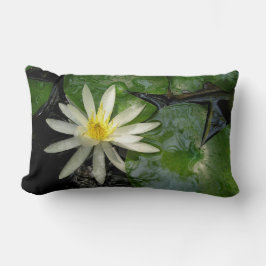 Weißwasserlilie | Green Lily Pads Fotografie Lendenkissen