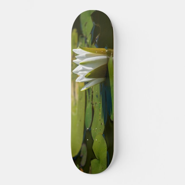 Weißwasserlilie Skateboard (Vorderseite)
