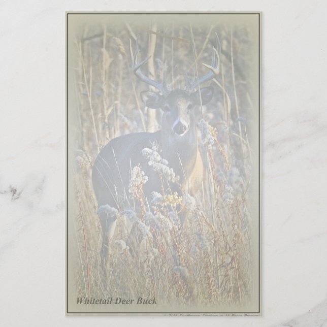 Weißwedelhirsch-Dollar-Briefpapier Briefpapier (Vorderseite)