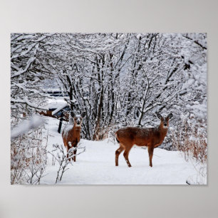 Weißwedelhirsch im Winter-Schnee-Wert-Poster Poster