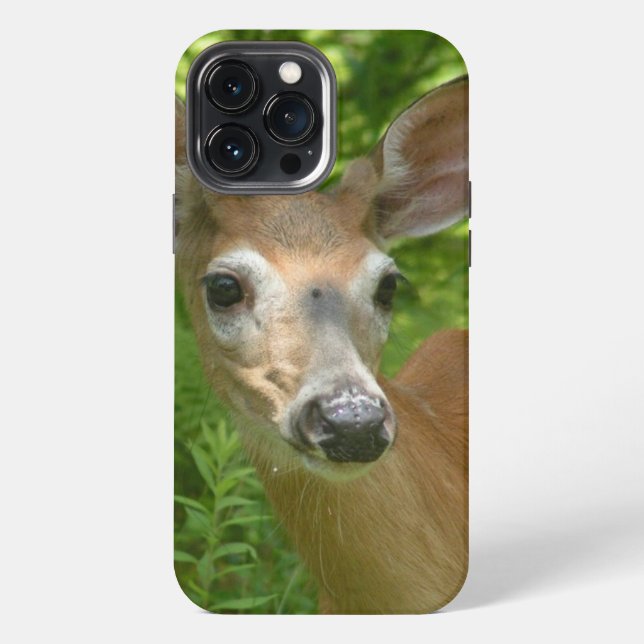 Weißwedelhirsch  iPhone hülle (Rückseite)