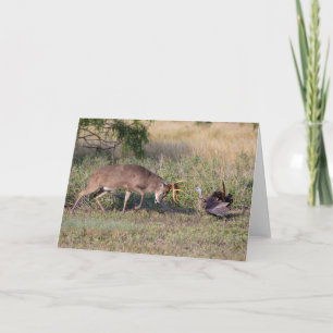 Weißwedelhirsch kämpft mit Wildtruthahn Karte
