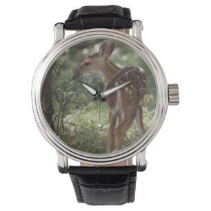 Weißwedelhirsch, Odocoileus virginianus Armbanduhr