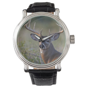 Weißwedelhirsch Odocoileus virginianus Armbanduhr