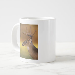 Weißwedelhirsch, Odocoileus virginianus, Jumbo-Tasse